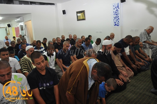 mohamed elfatekh3 (13).JPG